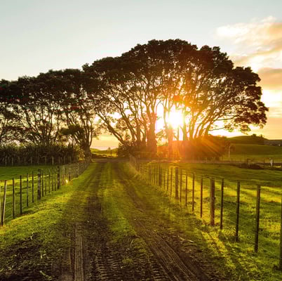 A room with a view It’s easy to feel worry, fear and uncertainty amidst all this global disruption. It’s not just the virus that’s contagious. Ideas for leaders in a pandemic