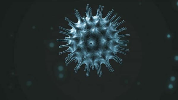 Coronavirus image - horizontal