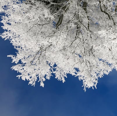 Winter is coming v3 square