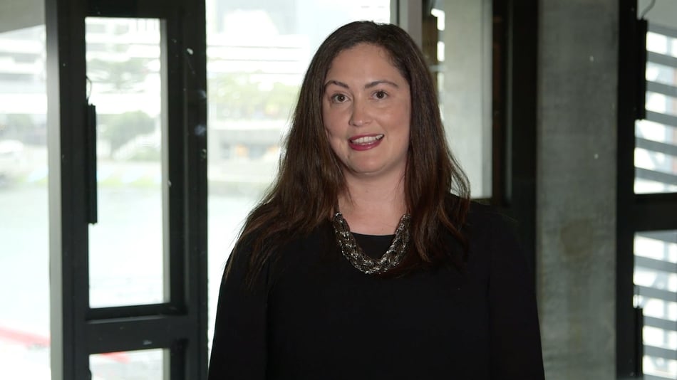 Introducing the Team Workshop