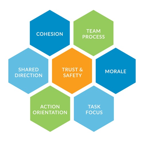 The Winsborough Senior Team Survey - Infographic Summary