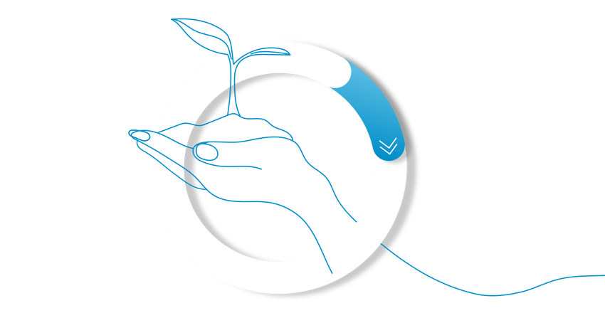 WNZ046 Winsborough 360 Brochure illustrations V1-1