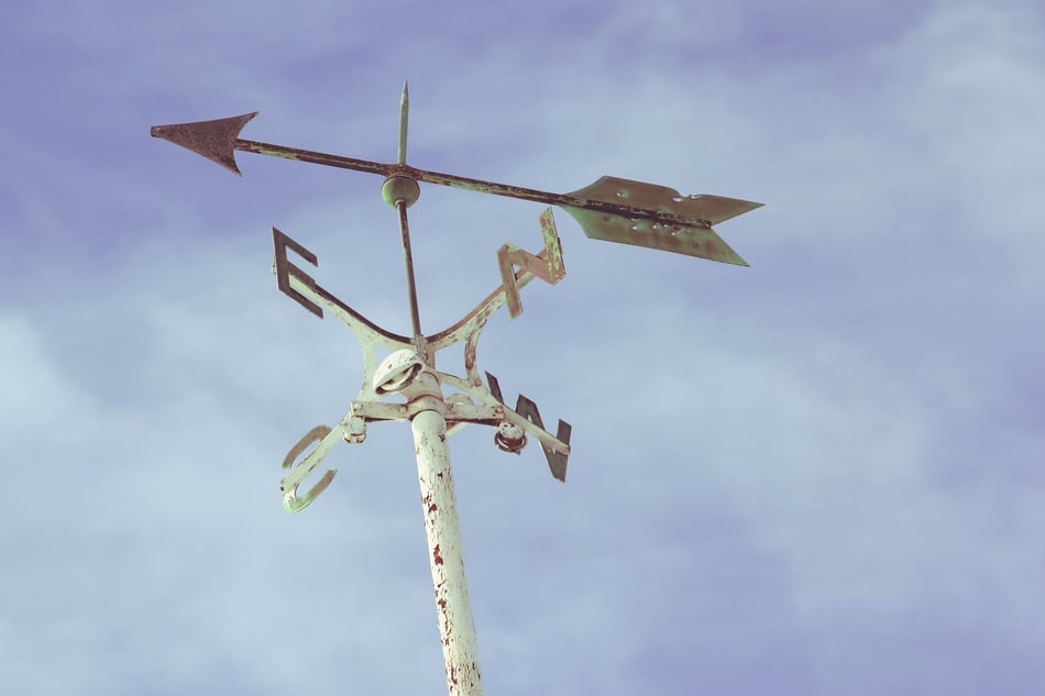 Developing talent for the organisation: succession planning
