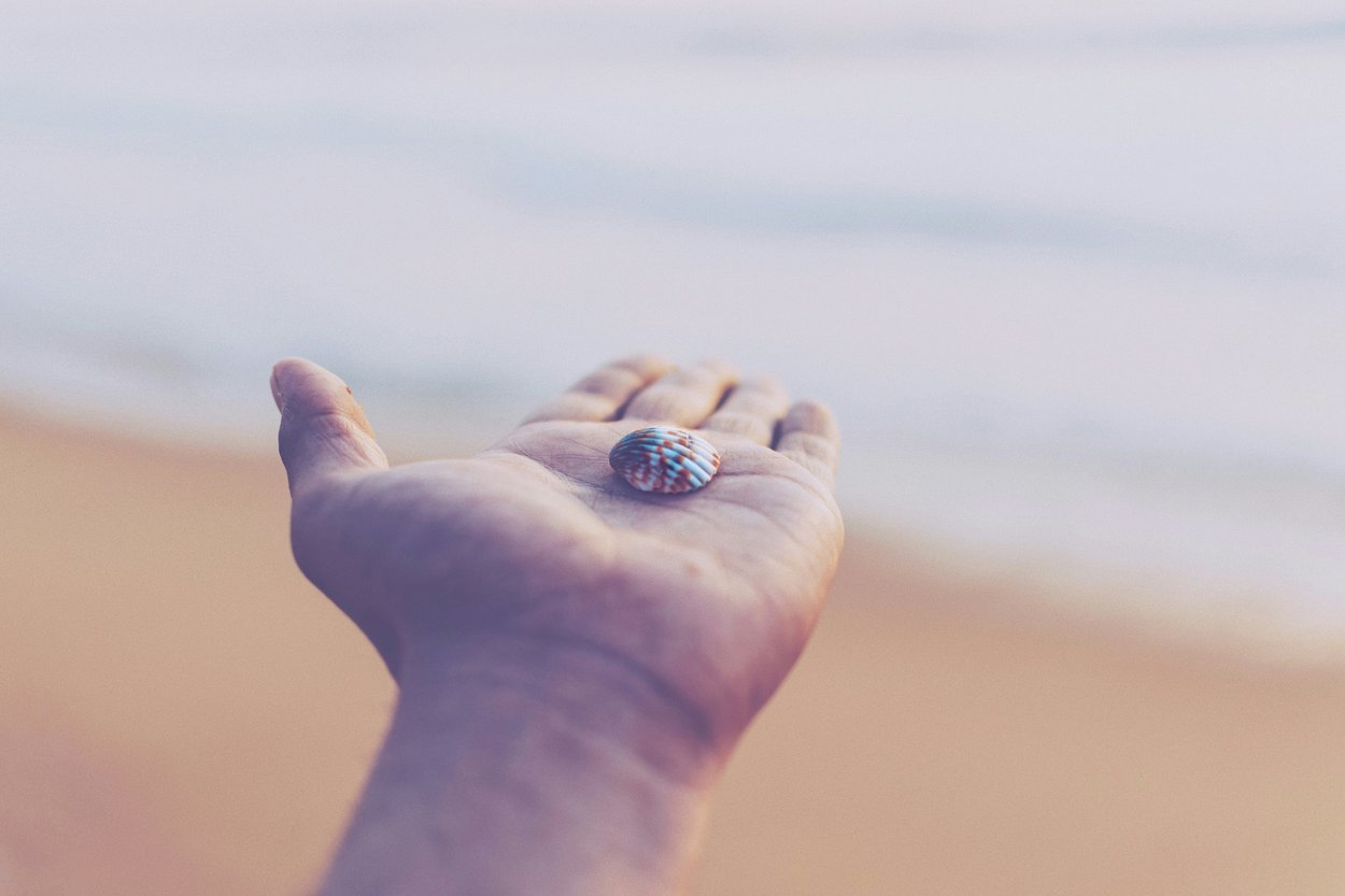 anunay-mahajan-Nrmm1bZ6HjQ-unsplash