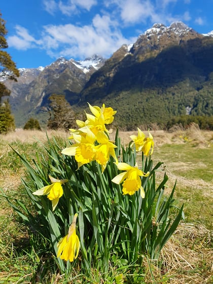 ellen-thompson-uvfxOFEZZh8-unsplash