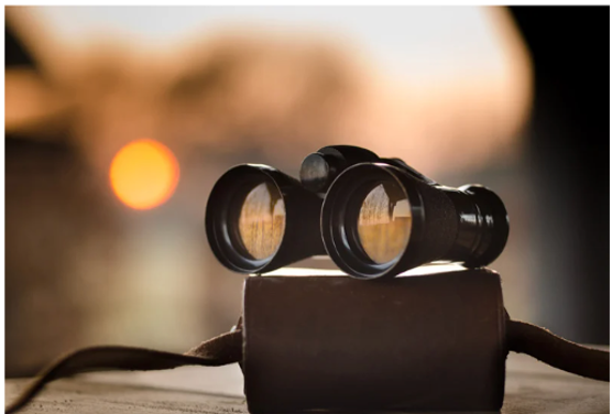 From Individual Insight to Organisational Wisdom